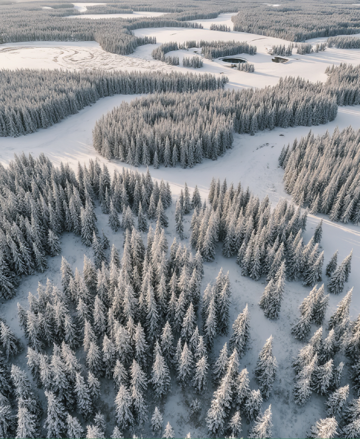 Благословенный край – Югра!